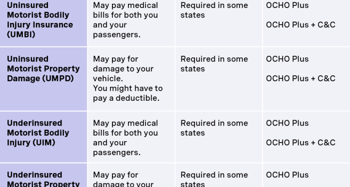 A Comprehensive Horan Guide to Auto Insurance